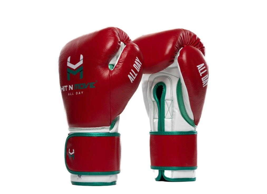Hit N Move Pro Balance Velcro Gloves (Click For More Colour Options)