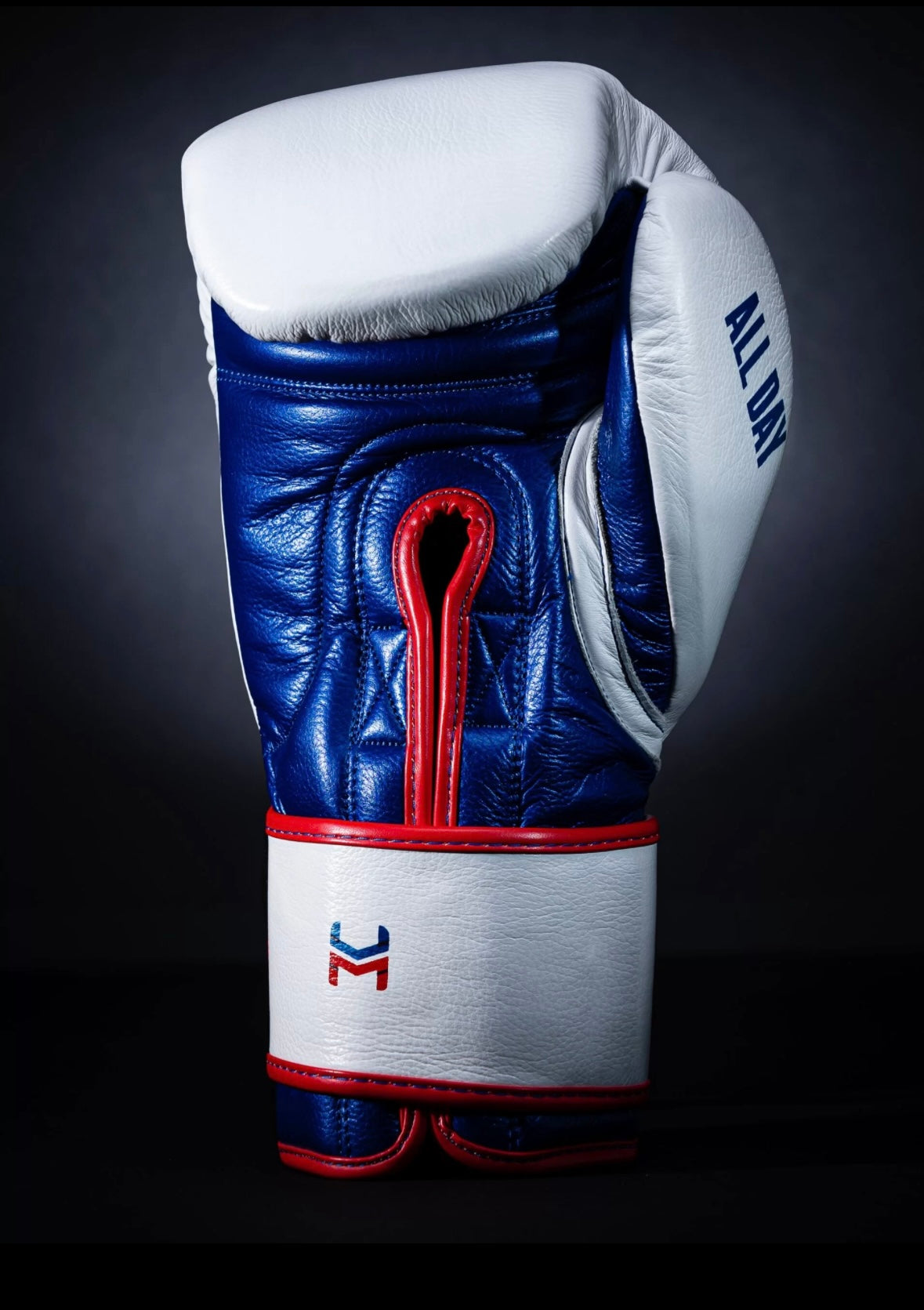 Hit N Move Pro Balance Velcro Gloves (Click For More Colour Options)