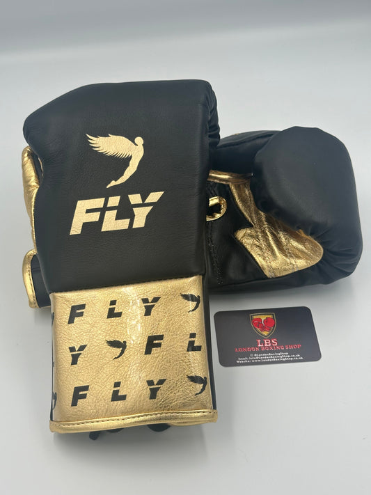 Fly 10oz Premium Fight Gloves.