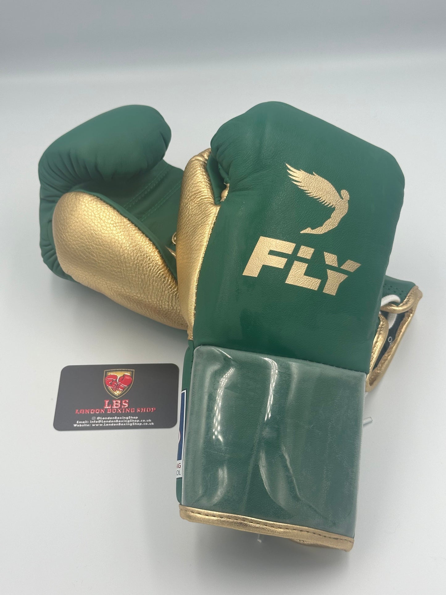 Fly 10oz Premium Fight Gloves.